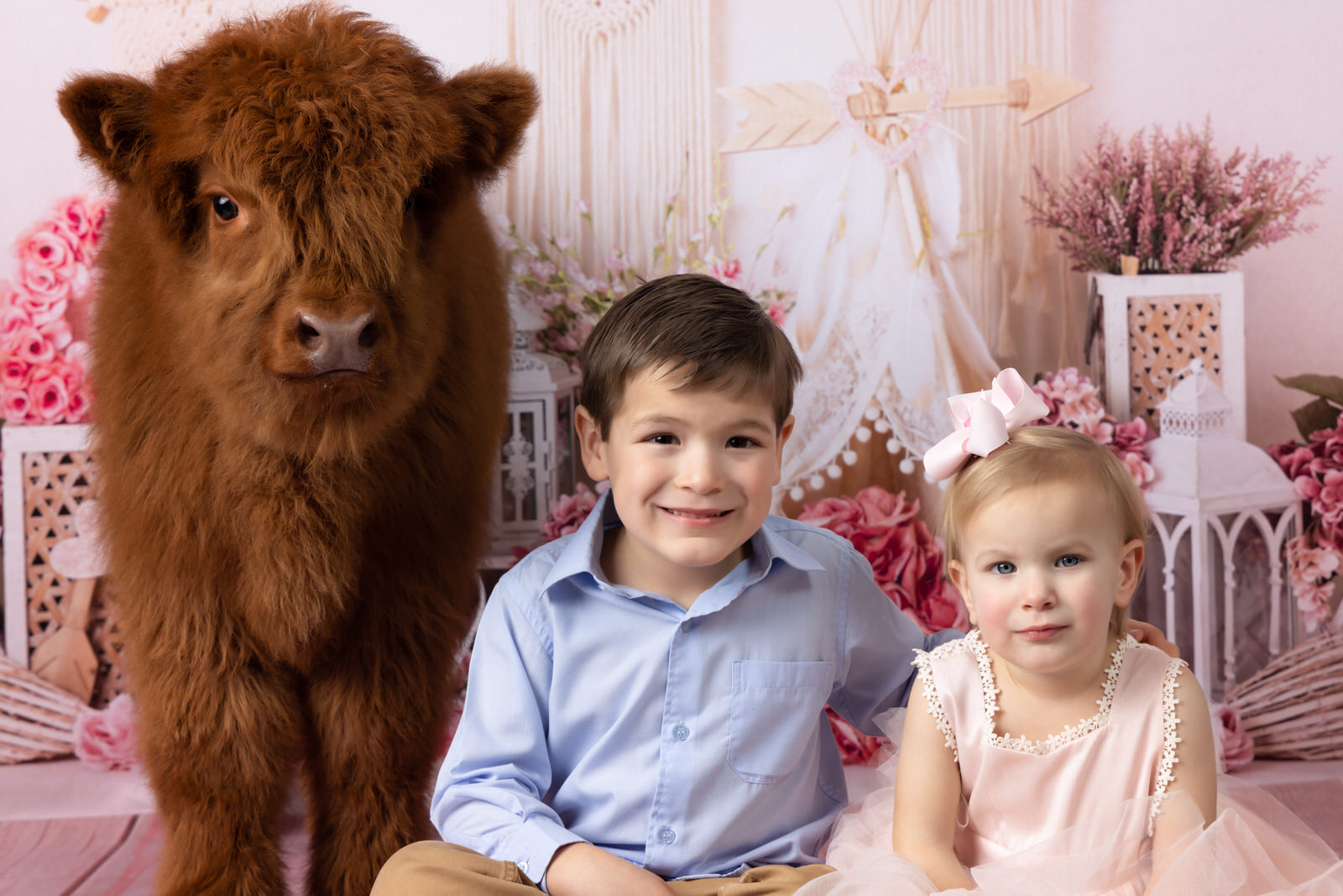 A young boy and girl sit in a studio with a baby fluffy cow babysitters arlington tx