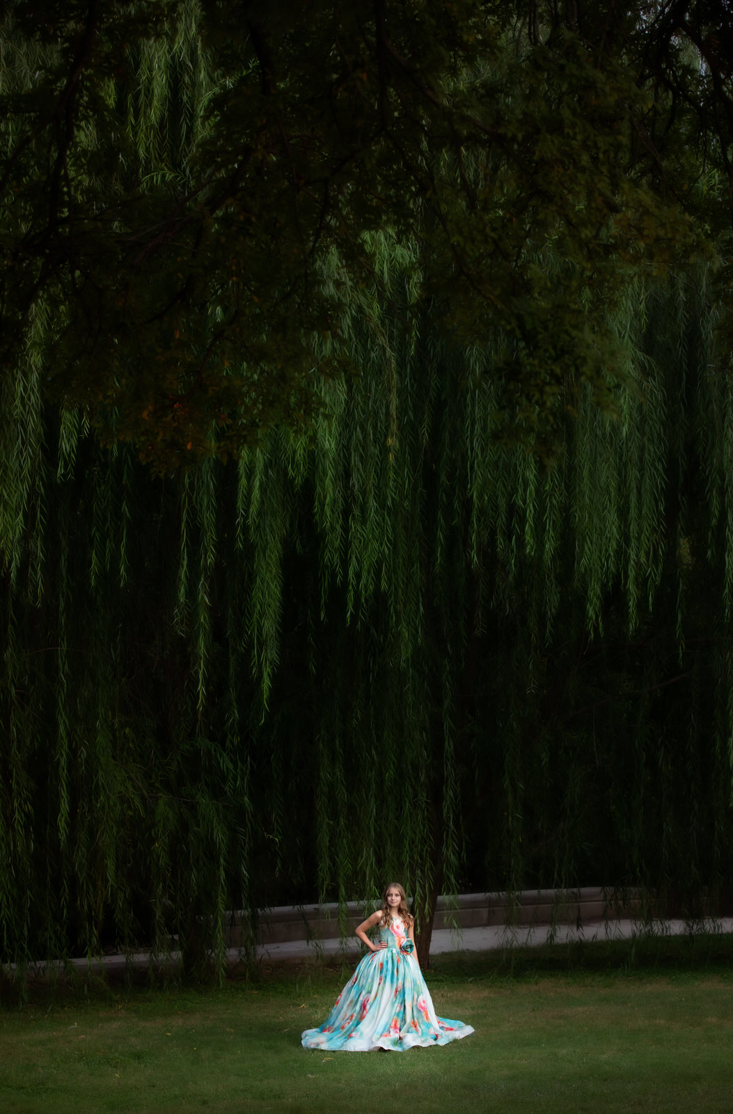 A young girl stands in a park under a large willow tree in a large blue dress fort worth pediatricians
