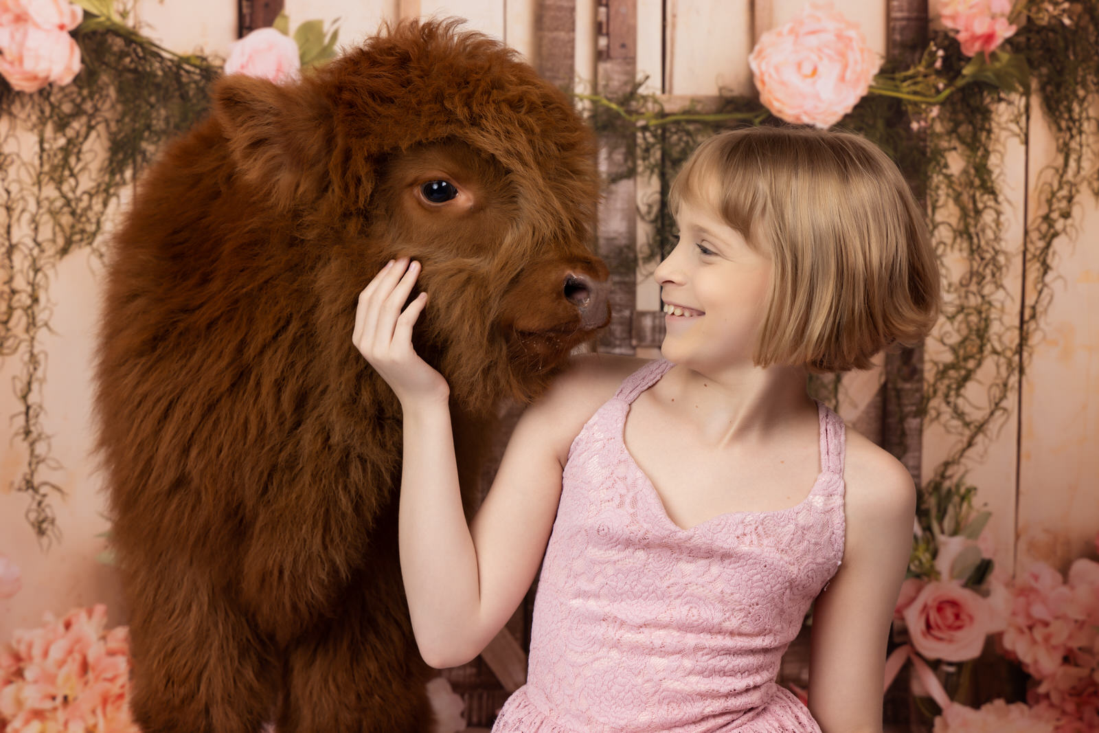 A young girl sits in a studio while scratching the face of a fuzzy brown cow