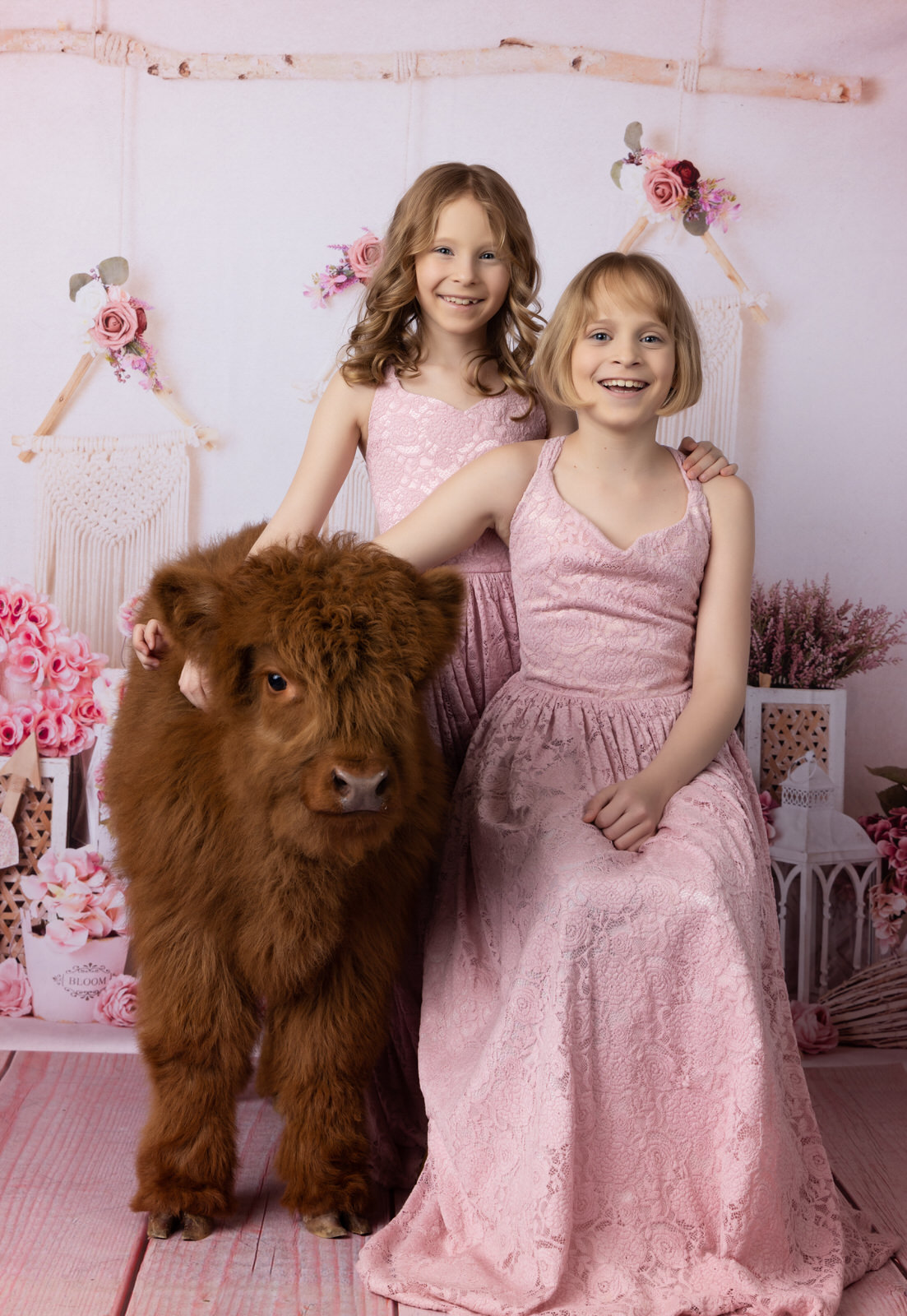 Two sisters in pink dresses sit in a studio while petting a brown fluffy cow grand prairie pediatricians