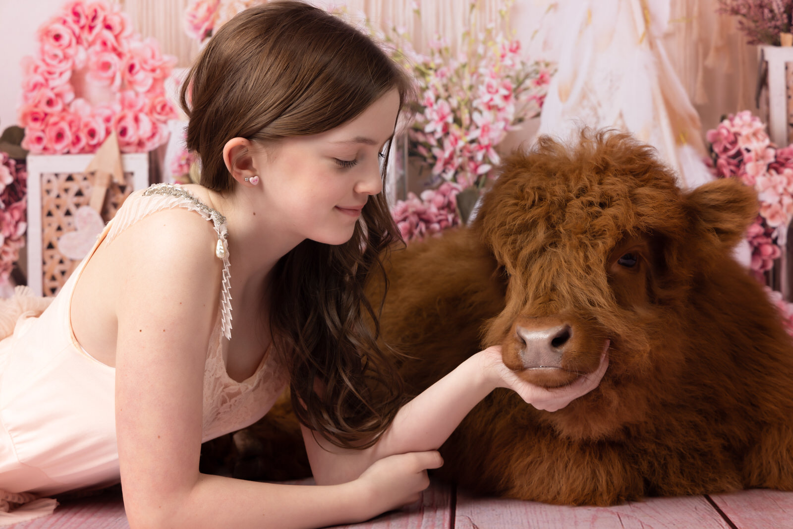 A young girl in a pink dress lays on the floor of a studio holding the chin of a furry cow grand prairie pediatricians