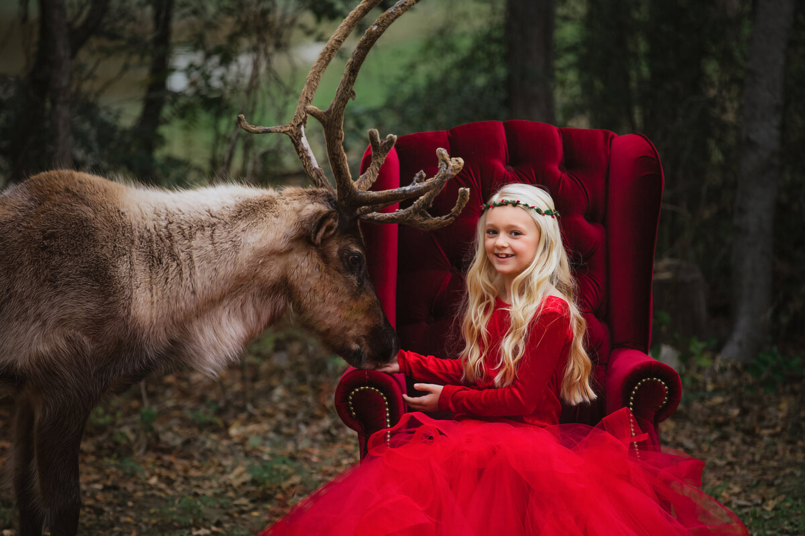 Girl in red dress sitting next to reindeer fine art reindeer photography