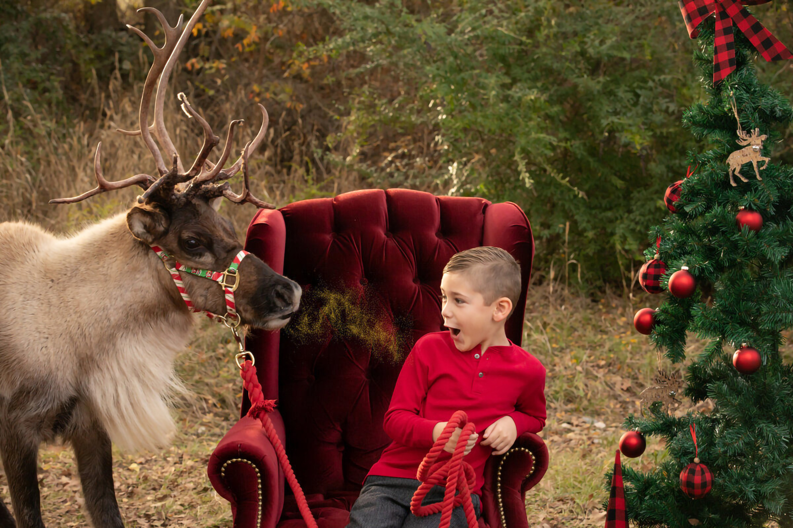 boy sitting in chair next to magical reindeer fine art photography