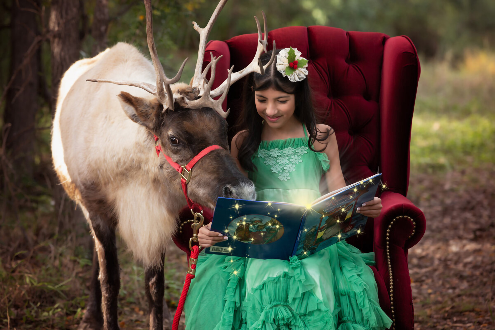 Girl in green dress reading book to reindeer fine art photography