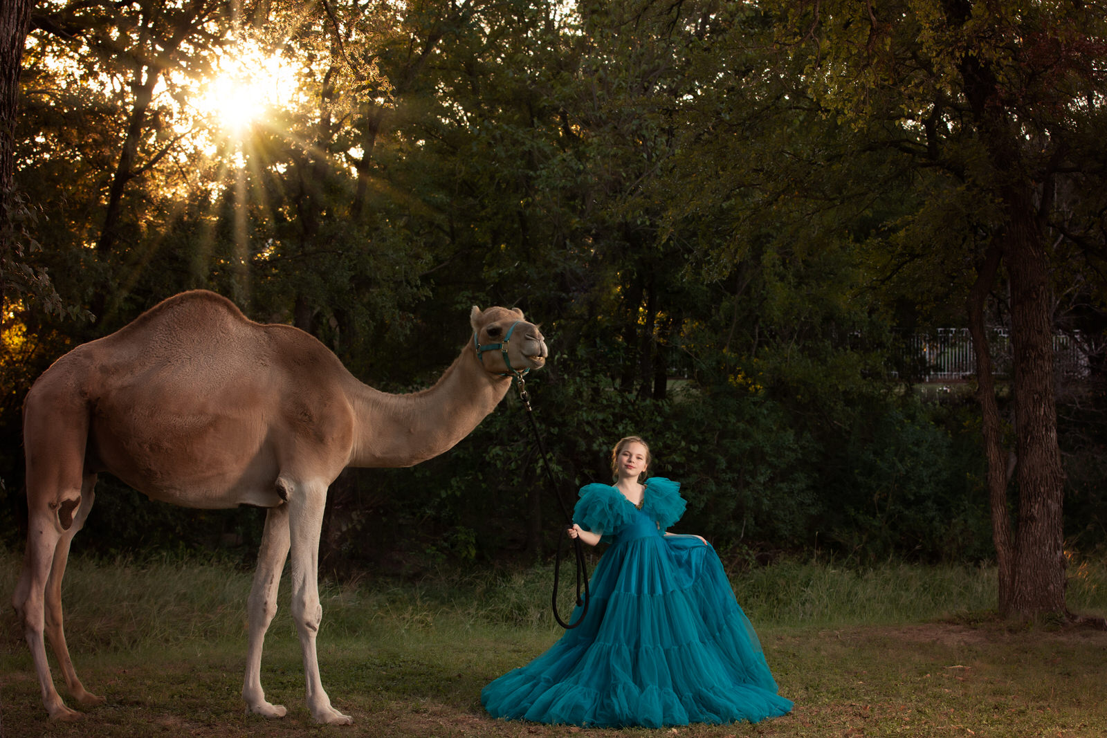 Girl in teal dress leading Camel at sunset