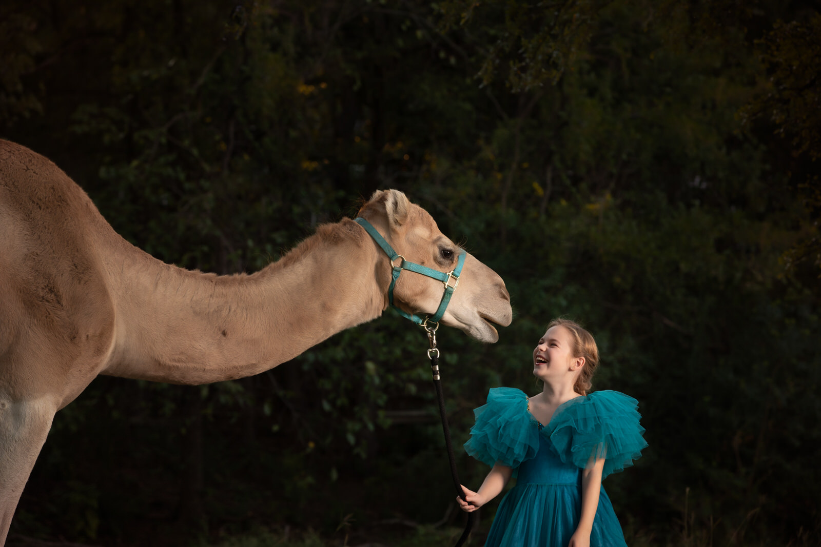 Girl in blue dress laughing with camel
