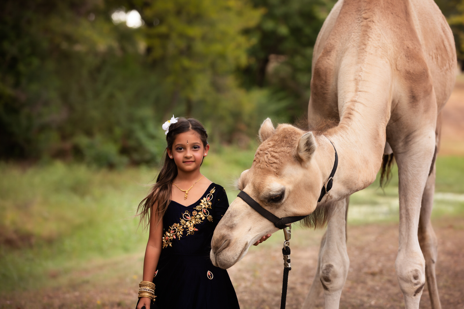 Girl in black dress with camel in couture photoshoot